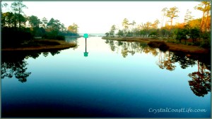 bwcmarch29 Bluewater Cove March 29