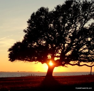Bogue Sound Sunset