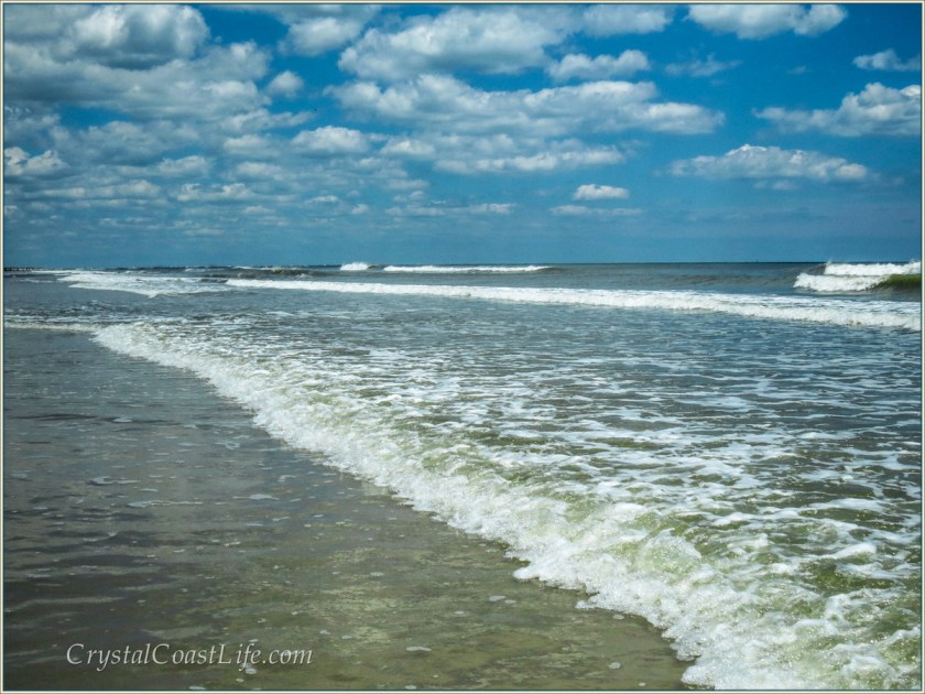 The Beach At Hammocks Beach State Park On Bear Island