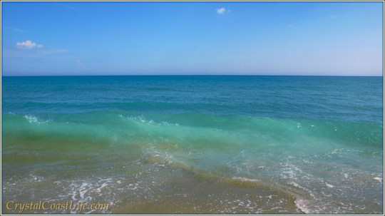 waterlikenoothergimpwm