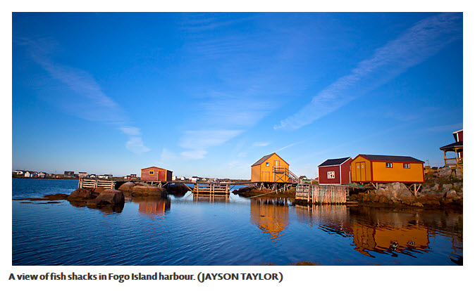 Fogo Island Fish Shacks