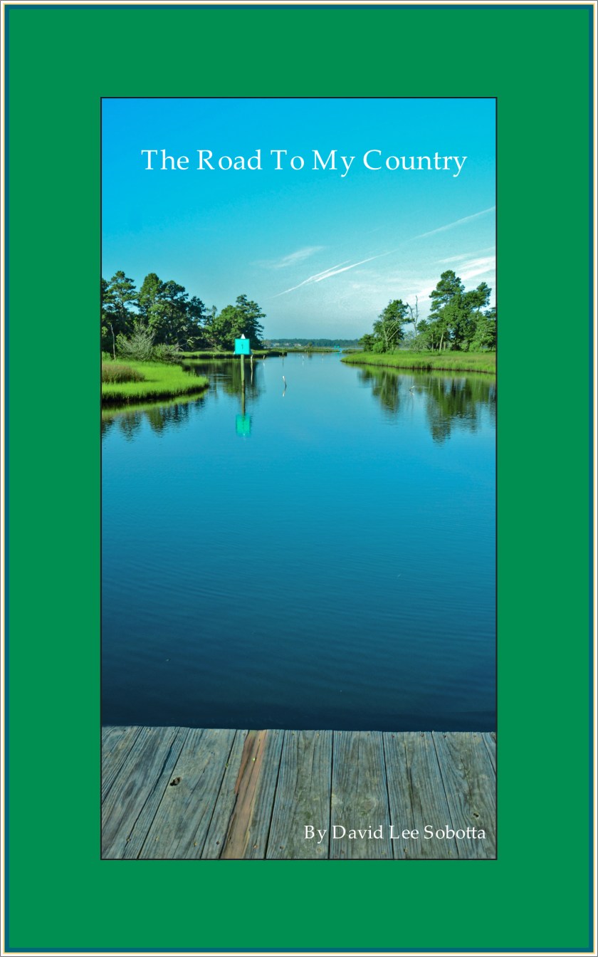 Cover of The Road To My Country