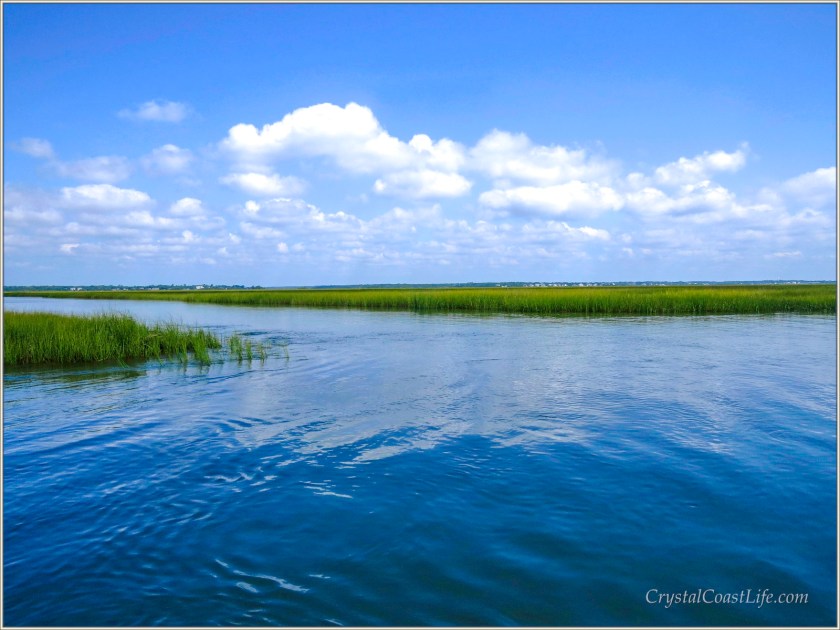 The Marshes Behind Bear Island
