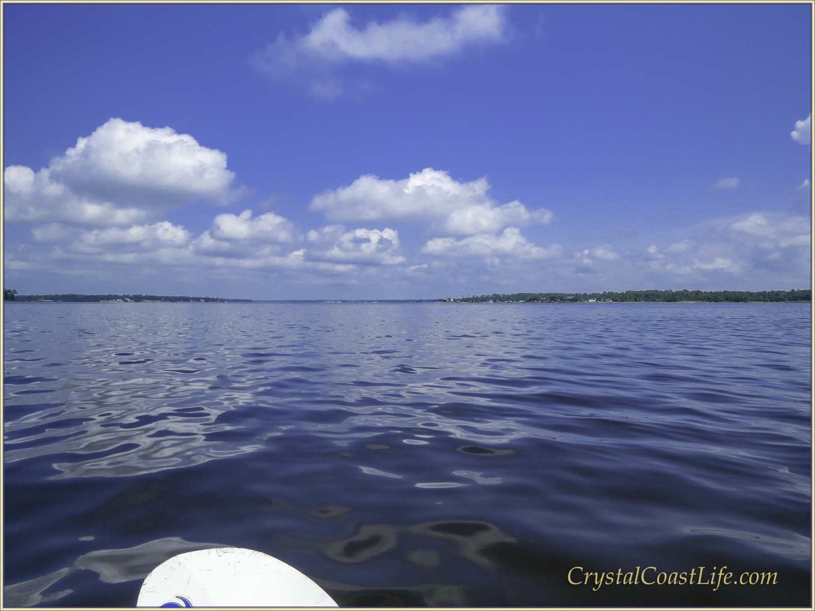 Looking North Up The White Oak River