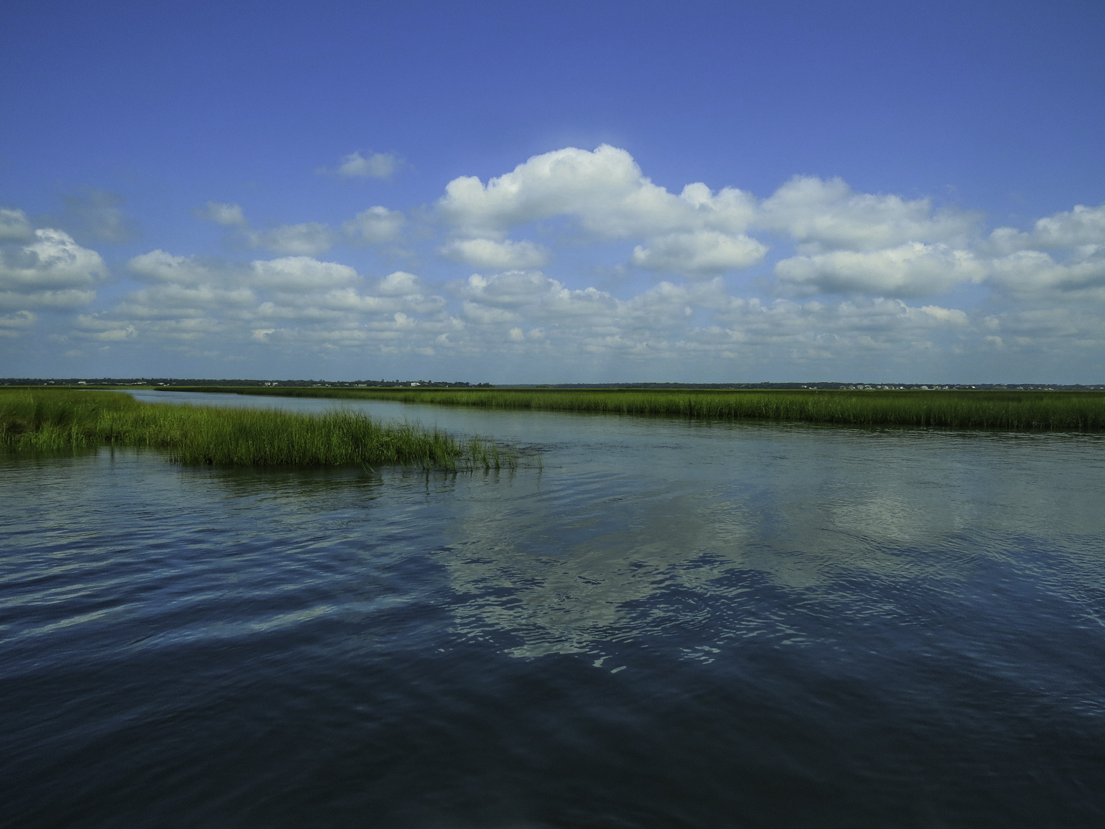 Marsh Water Behind Bear Island