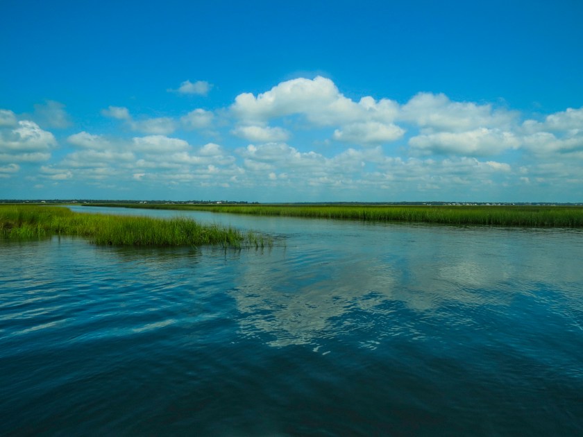 Marsh Water Behind Bear Island