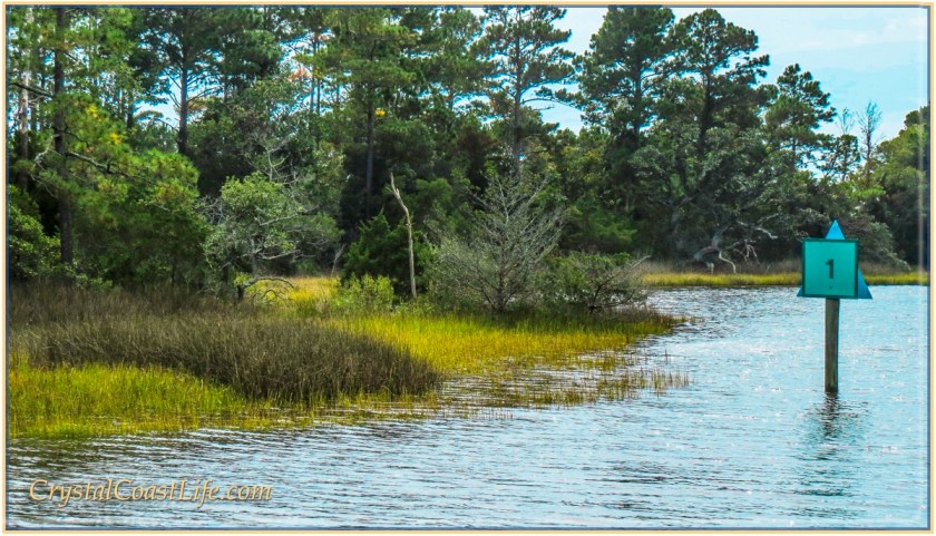 High Water In Raymond's Gut