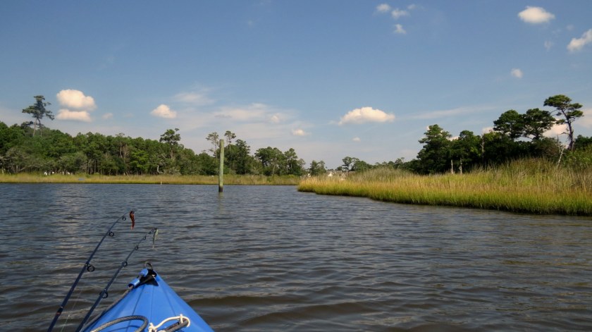 Kayaking in Raymond's Gut