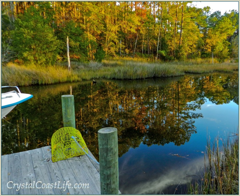 dockonraymondsgut1200