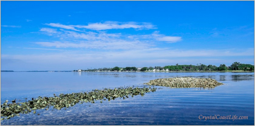 Oyster Rocks Near Red Sixteen Buoy On The White Oak River