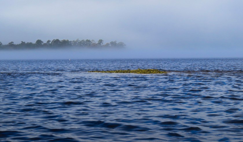 Fog and oyster rocks on the White Oak River