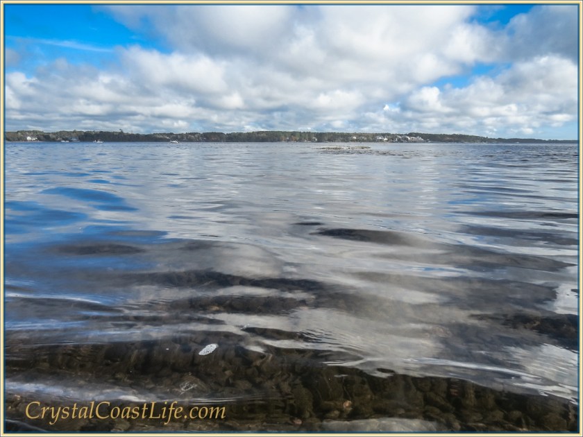 Oyster rocks just under the shining surface of the White Oak River