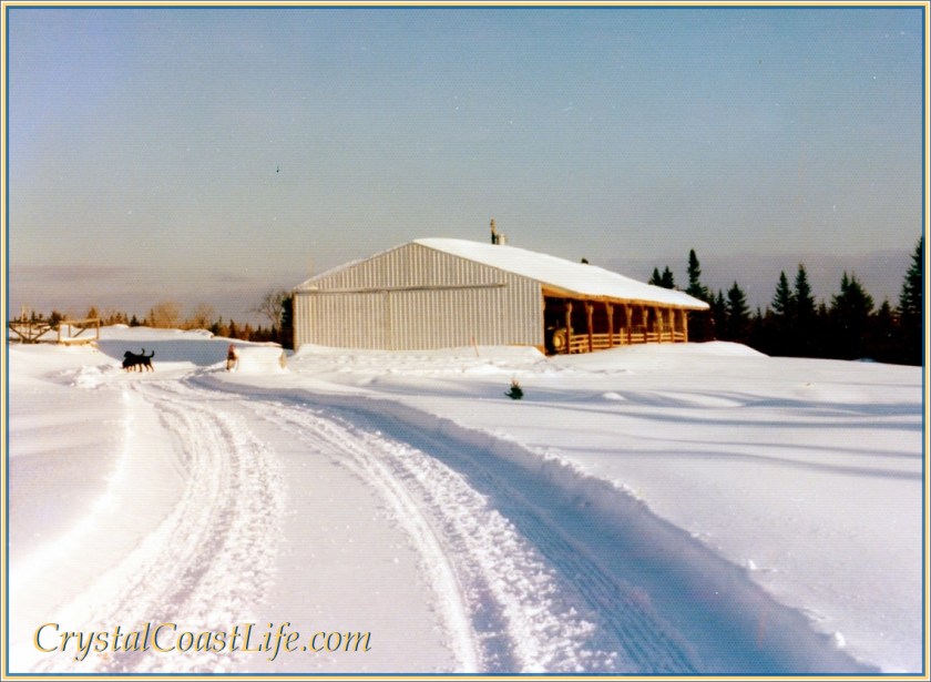 The barn not far from our calving barn