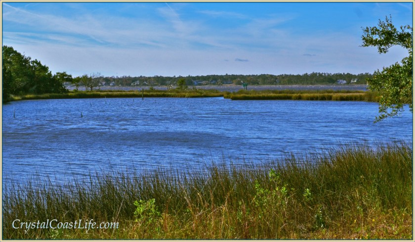 Raymond's Gut, whitecaps of the White Oak in the background