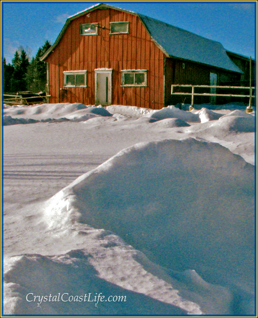 Snowy Tay Creek Barn