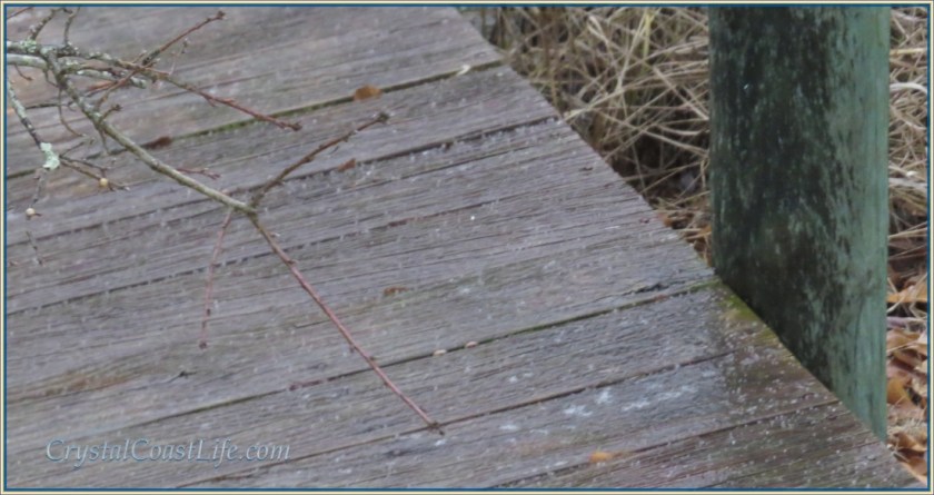 Icy dock on Raymond's Gut