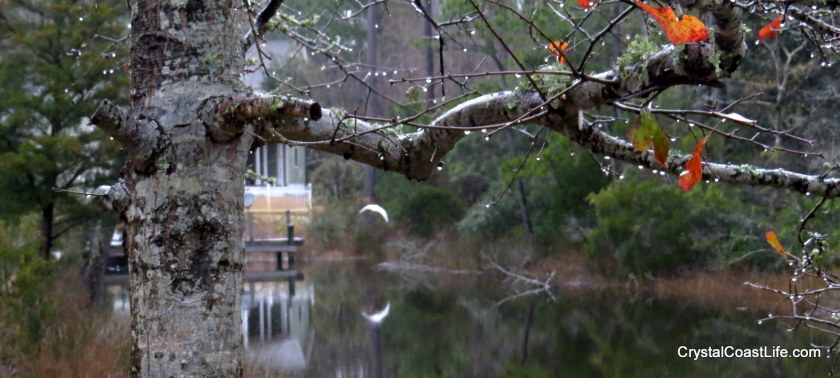 Rainy day on Raymond's Gut