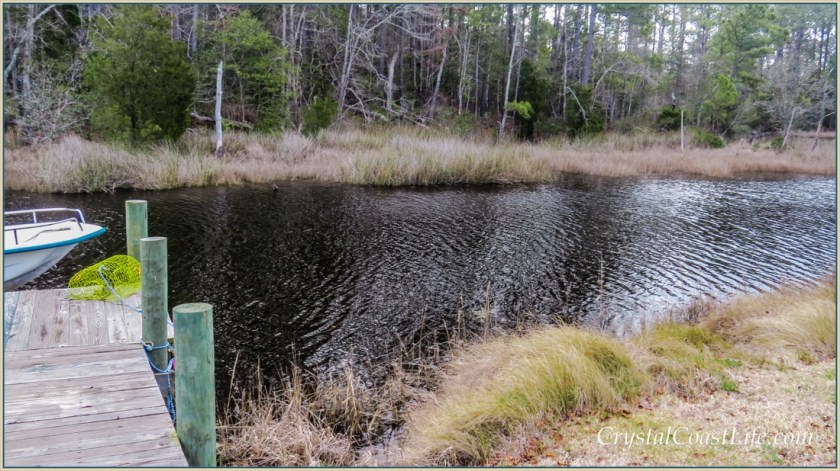 Our Dock By Raymond's Gut