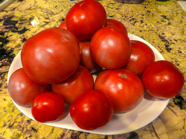 Tomatoes from our 2013 garden