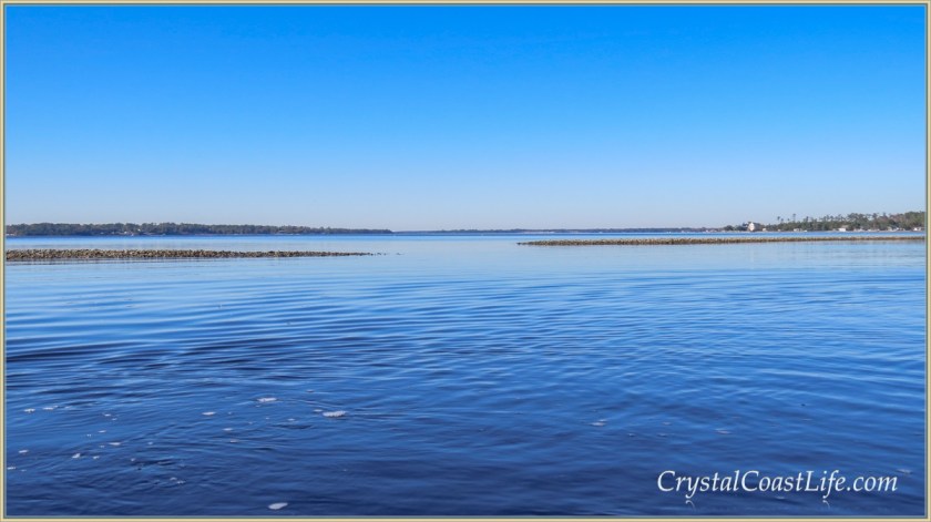Oyster rocks in the White Oak River