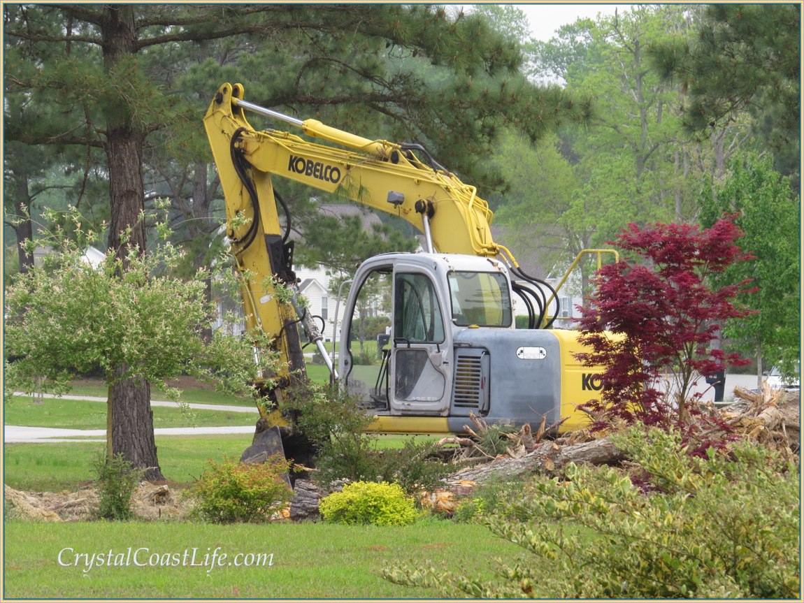 Digging in the wrong spot