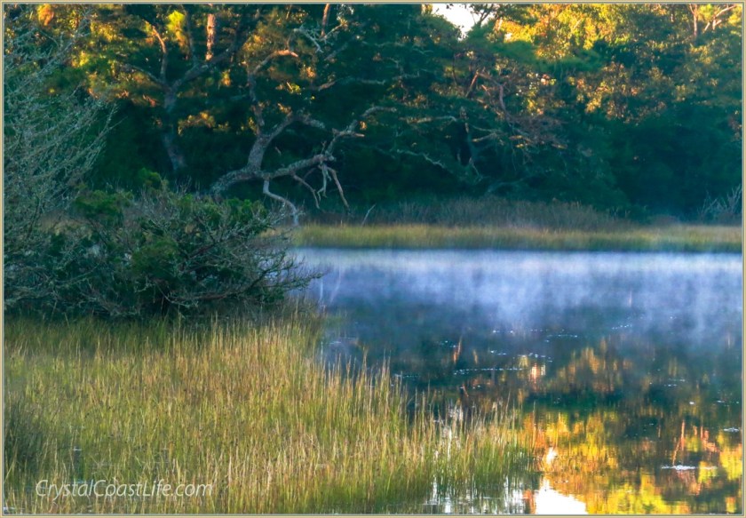 Fog in Raymond's Gut