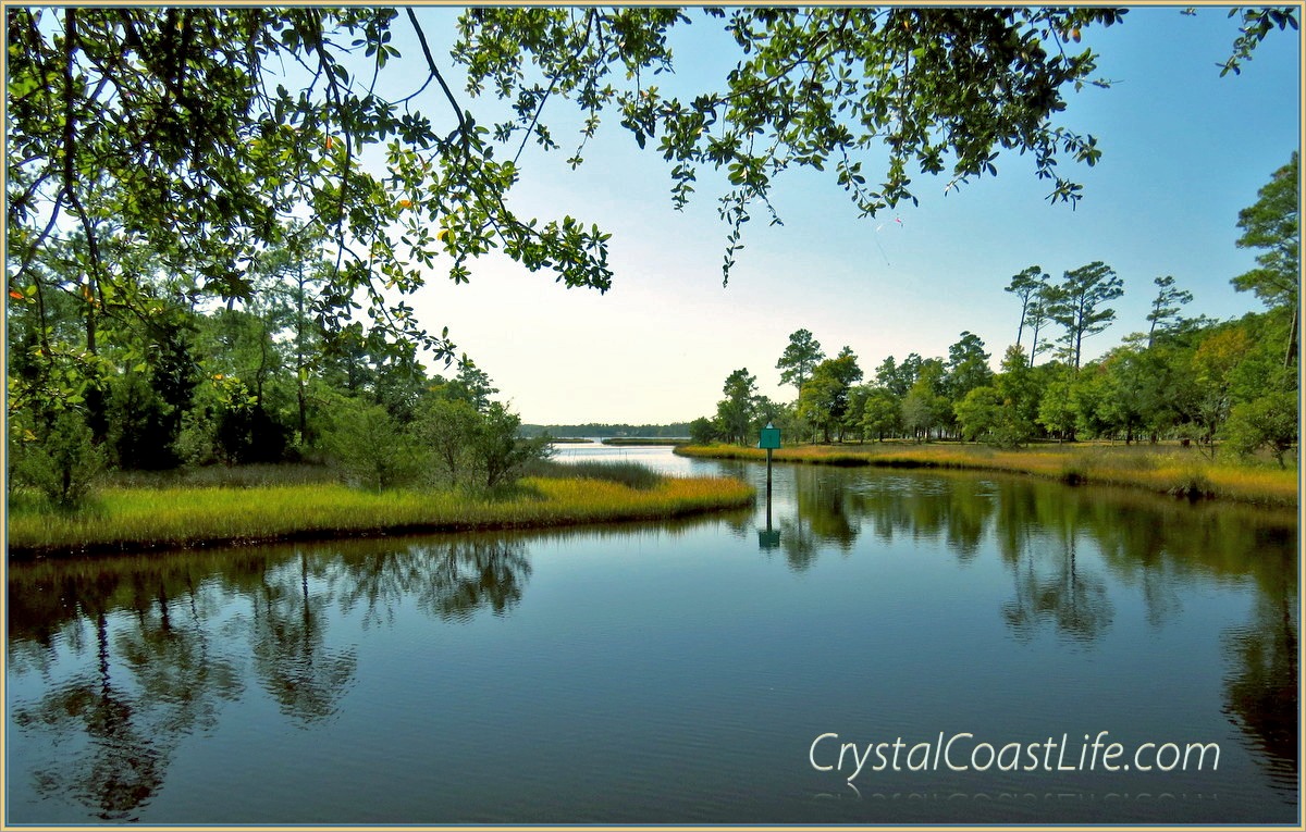 View from the boardwalk