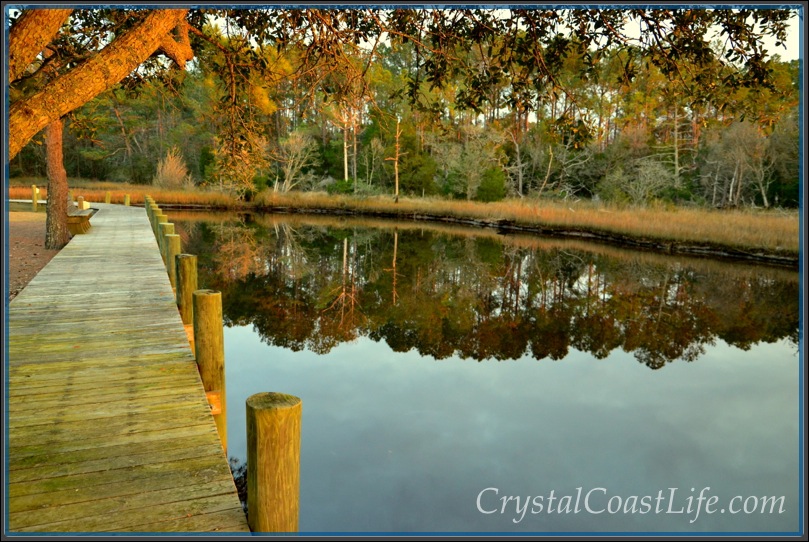 Afternoon Sunshine On The Dock By Raymond's Gut