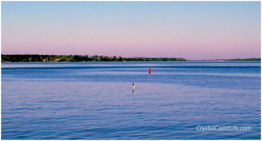 The Marked Channel Up The White Oak River