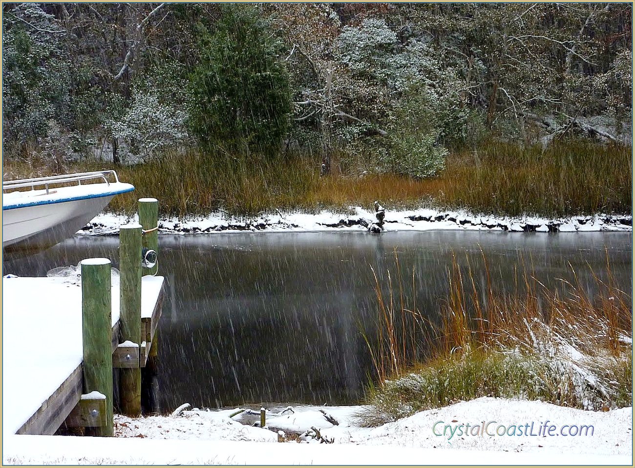 Snow from January 2011