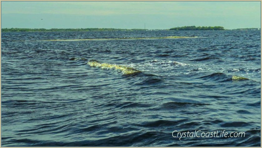 Wave by the Oyster Rock