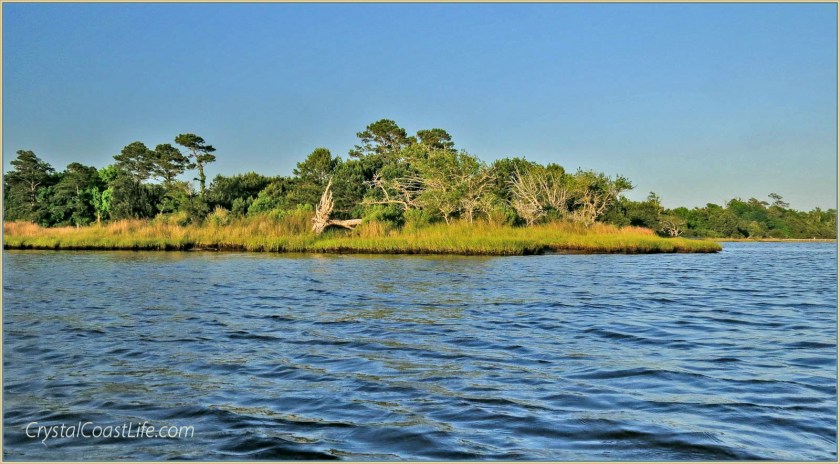 Memorial Day Kayaking on the White Oak River