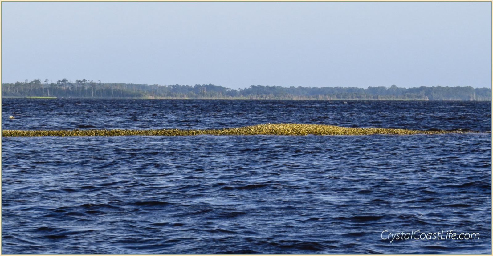 Warm Winds on the White Oak River