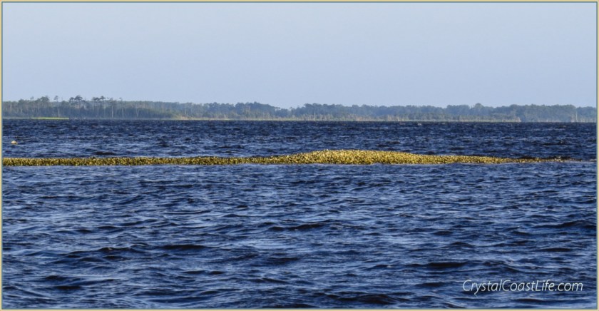 Warm Winds on the White Oak River
