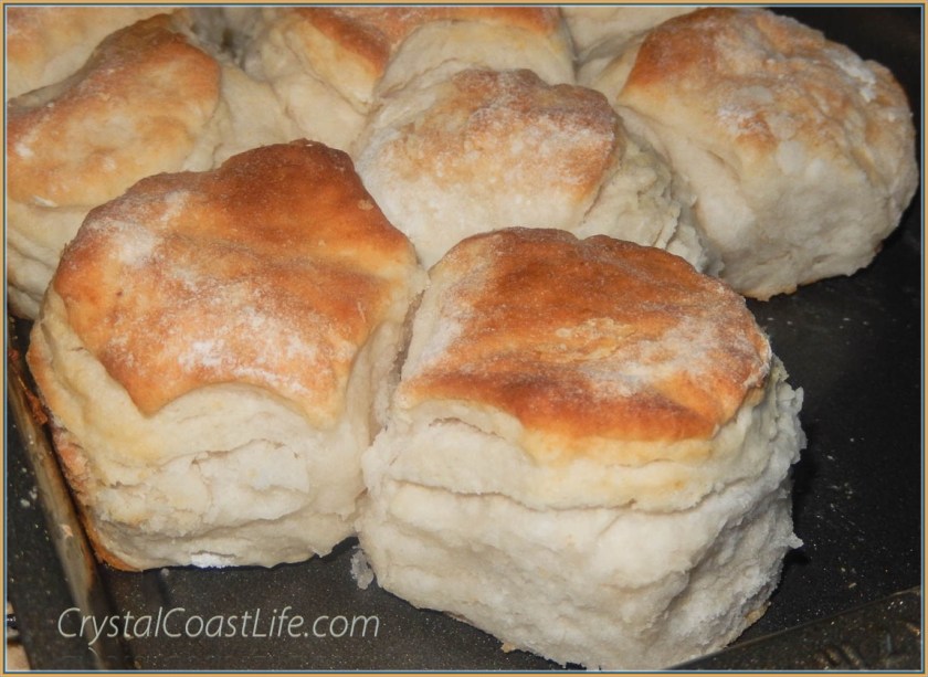 theenrgysavingbiscuitwm