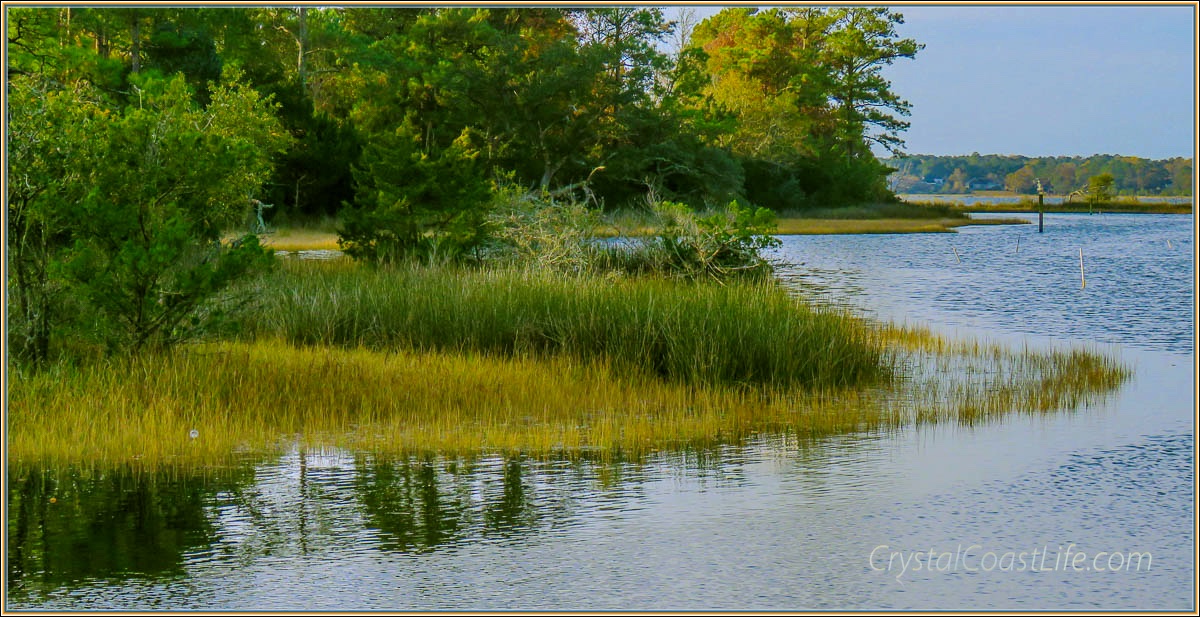 lastfalldayinthemarshwm