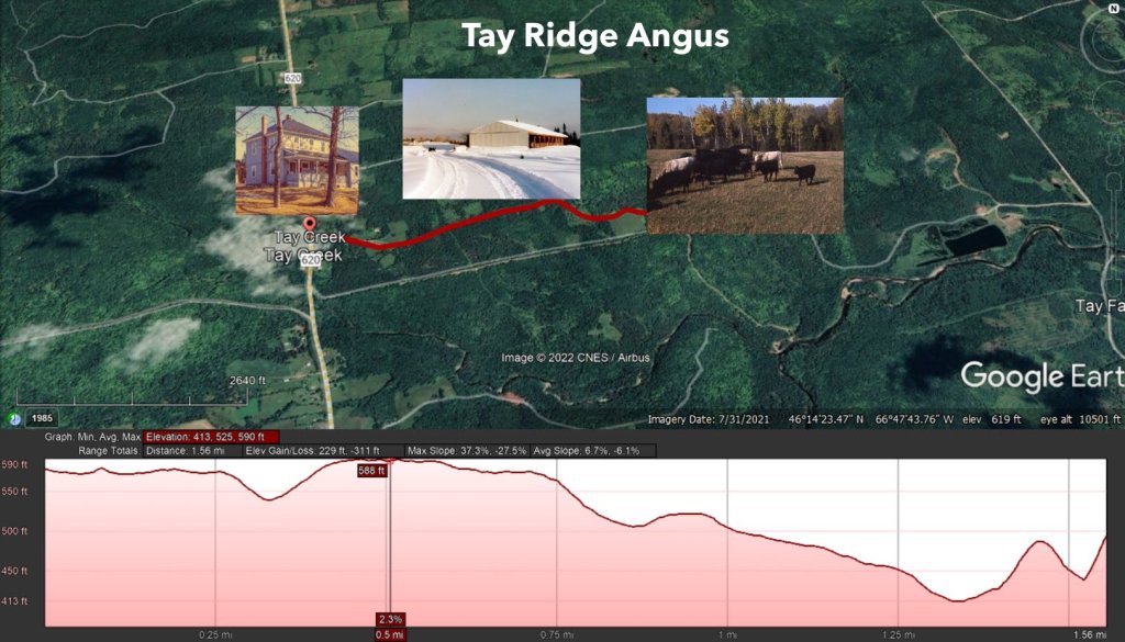 An aerial photo which a super-imposed elevation of our old farm with picture of the house, a barn, and some cattle.